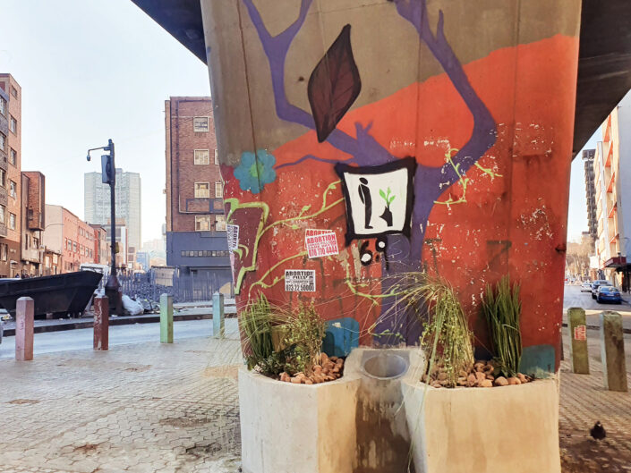 2024 The Plant Pee pot