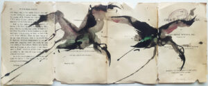 Hadeda Murmuration i