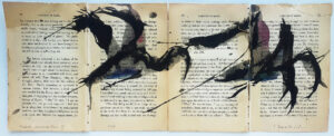 Hadeda Murmuration ii