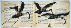 Hadeda Murmuration iV