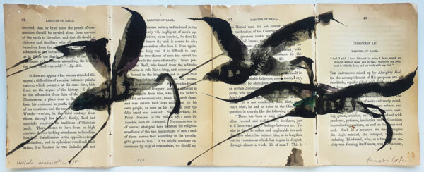 Hadeda Murmuration iV