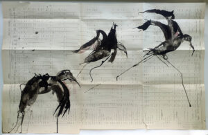 Hadeda Murmuration L
