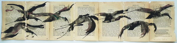 Hadeda Murmuration Vii
