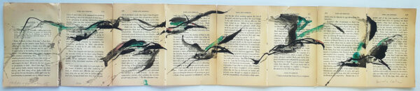 Hadeda Murmuration Xii