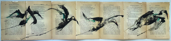 Hadeda Murmuration Xiii