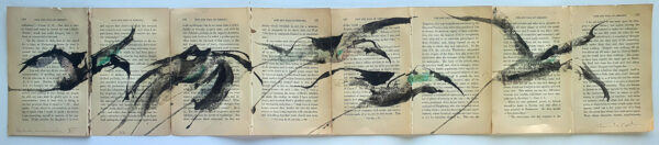 Hadeda Murmuration XiV