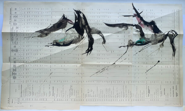 Hadeda Murmuration XLiX