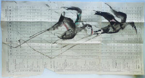 Hadeda Murmuration XLVi