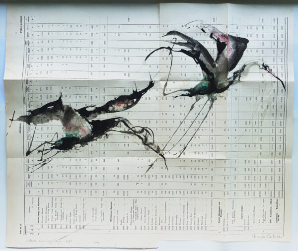 Hadeda Murmuration XLVii