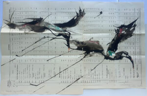 Hadeda Murmuration XLViii