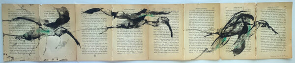 Hadeda Murmuration XVii