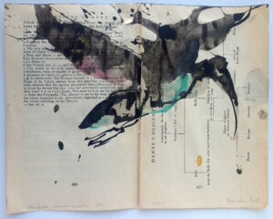 Hadeda Murmuration XX