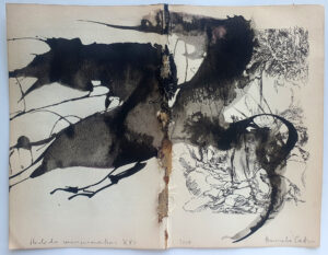 Hadeda Murmuration XXi