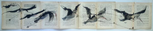 Hadeda Murmuration XXiX