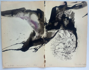 Hadeda Murmuration XXV
