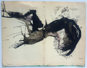 Hadeda Murmuration XXVi