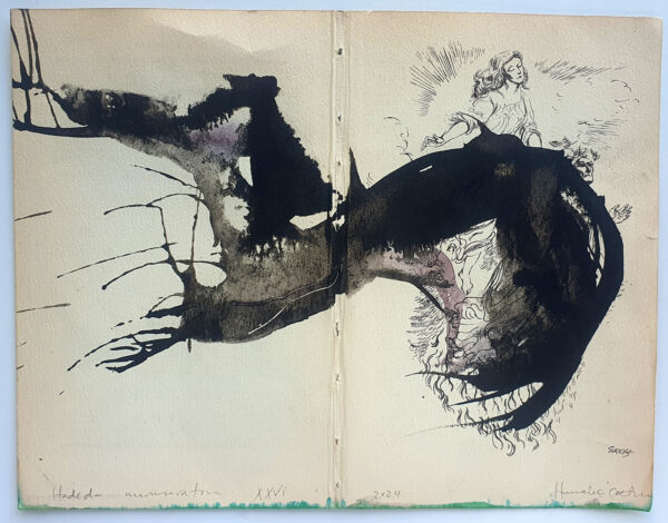 Hadeda Murmuration XXVi