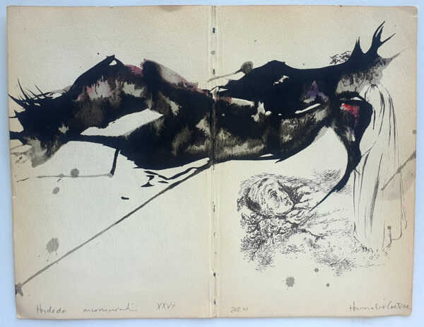 Hadeda Murmuration XXVii