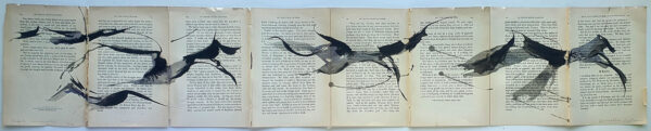 Hadeda Murmuration XXX