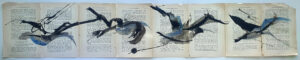 Hadeda Murmuration XXXii