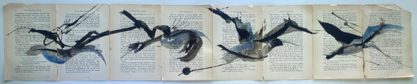 Hadeda Murmuration XXXii