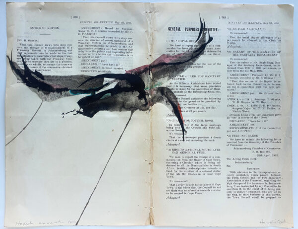 Hadeda Murmuration XXXVi