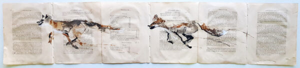 Urban Foxes ii