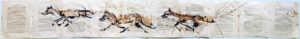Urban Foxes Viii