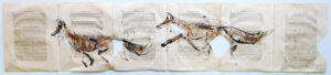 Urban Foxes Xii