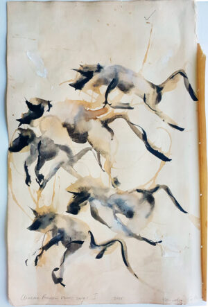 Chacma baboon war series I